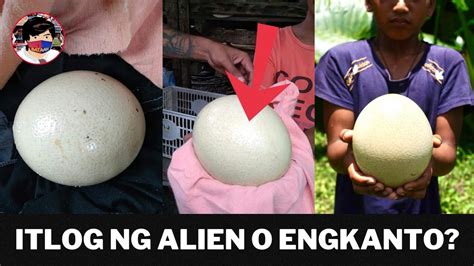 Malaking Itlog Na Natagpuan Sa Tabogon Cebu Itlog Daw Ng Alien O