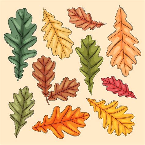 Premium Vector | Autumn oak leaf collection