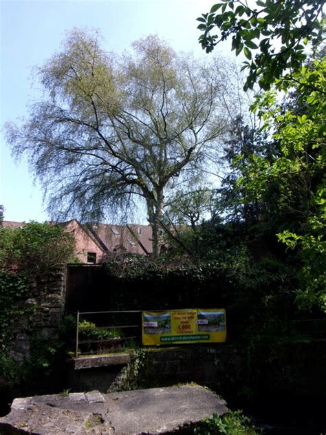 New Homes Nimby Basher Eyre Geograph Britain And Ireland