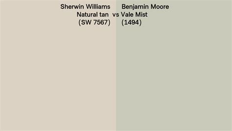 Sherwin Williams Natural Tan SW 7567 Vs Benjamin Moore Vale Mist