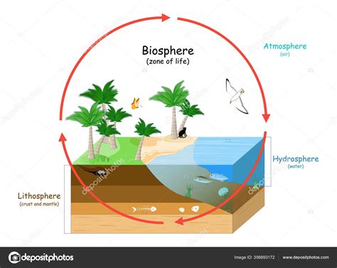 O Que E Biosfera - Diagrama Da Biosfera Terrestre