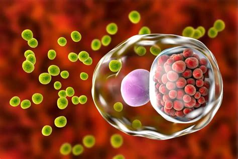 Oral and Nose Chlamydia | STD.GOV Blog