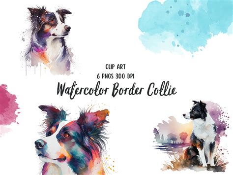 Watercolor Border Collie Clip Art Set Graphic by Patternexus · Creative