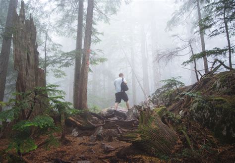 Hiking the BCMC trail, Grouse Mountain – Stay & Roam