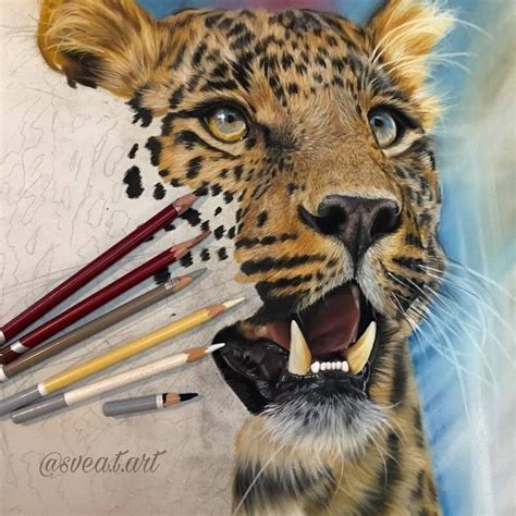 Realistic Tiger Drawing