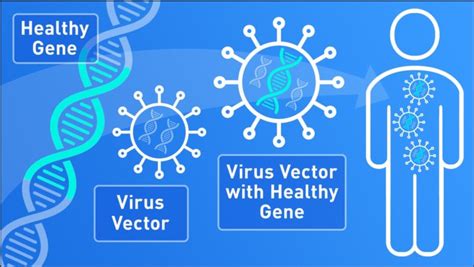 How Gene Therapy Works