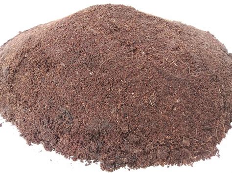 Brown Natural Cocopeat Powder Ploy Bag Packaging Size Kg At Rs