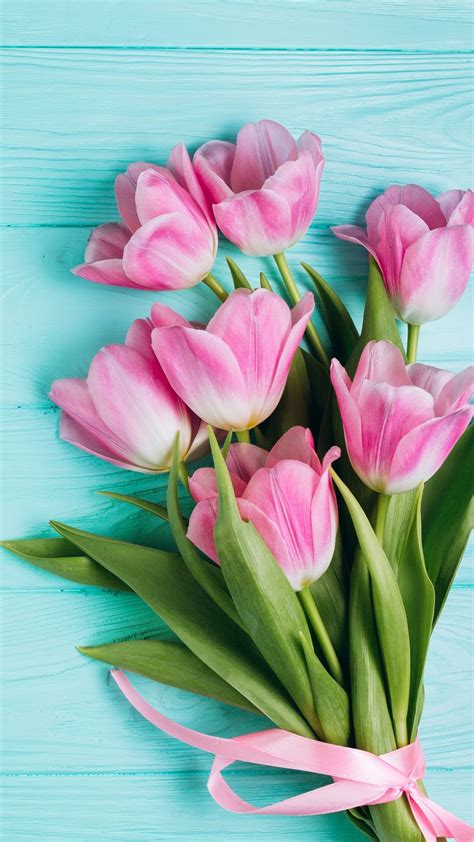 Pink Tulips Wallpaper Frühling Wallpaper Floral Wallpaper Iphone Rose