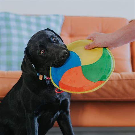 Swirl Frisbee Toy | Afterpay | Stylish Hound