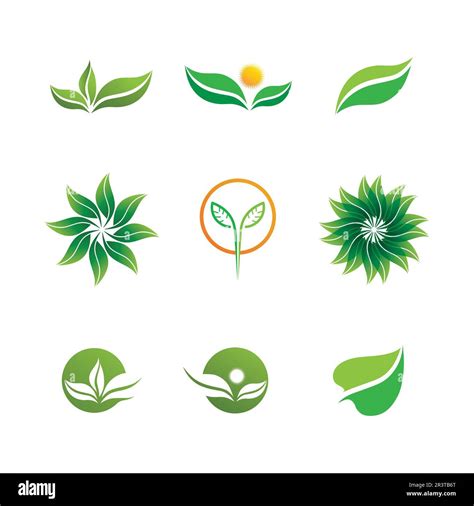 Plant Seeds Logo Concept Template Vector Growing Seed Logo Seed Grow