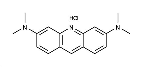 Acridine Orange | AAT Bioquest