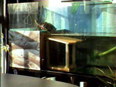 AMENAGEMENT D UN VIVARIUM POUR TORTUES