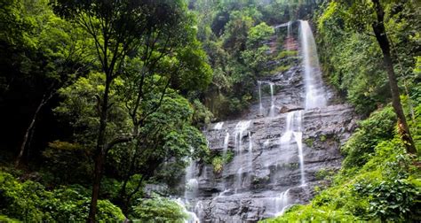 Jhari Falls Chikmagalur (Timings, Entry Fee, Images, Best time to visit, Location & Information ...