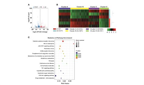 Gene Expression In T Sh Cd Vs Sh Nt Cells A Volcano Map Of The