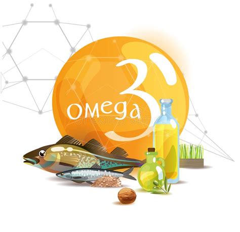 Omega 3 Basics Of Healthy Nutrition Stock Vector Illustration Of