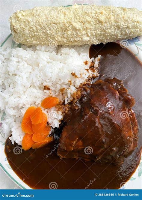 Chicken Mole and Corn for Dinner Stock Image - Image of plate, white