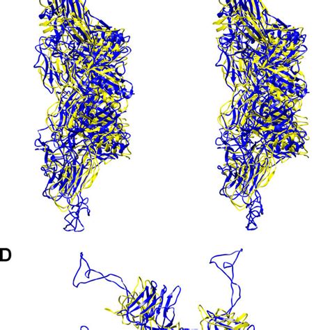 Structure Comparison Of The SPP1 Dit And Phage P2 ORF15 SPP1 Dit Is