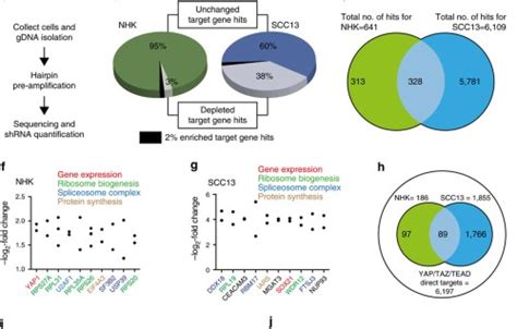 Developmental Biology And Regeneration