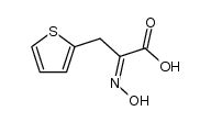 Cas Hydroxyimino Thienyl Propionic Acid