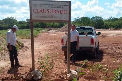 Clausura Profepa Dos Predios En Yucat N Y Quintana Roo Jos C Rdenas