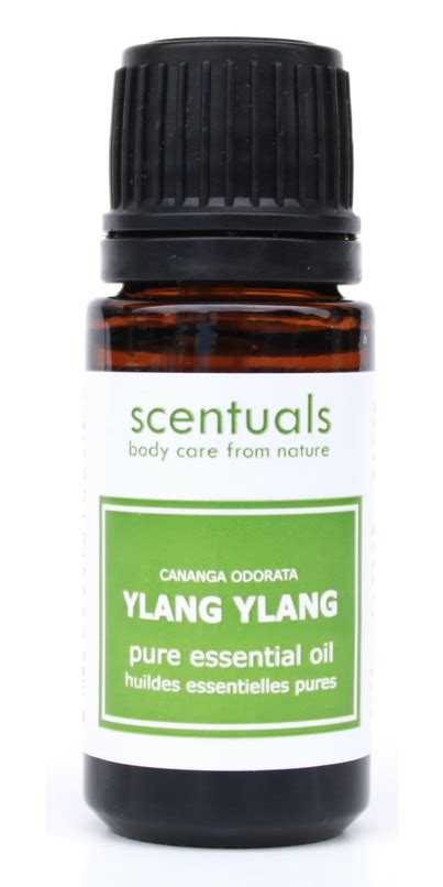 Buy Scentuals Pure Essential Oil At Well Ca Free Shipping 35 In Canada