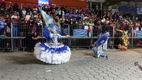 Vídeos especiais 1 casal Mestre sala e Porta bandeira Alunos do Samba