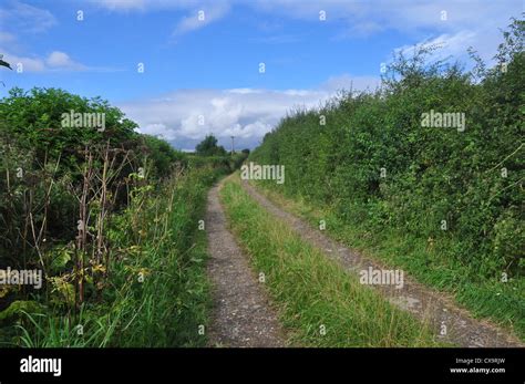 The Ackling Dyke Roman Road Near Gussage All Saints Dorset Uk Stock