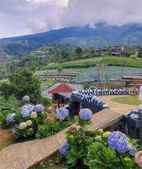 Tempat Wisata Di Magelang Yang Lagi Hits Buat Liburan Lamudi