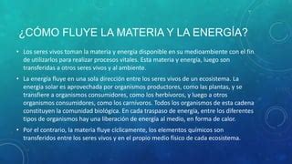 Ciclo De La Naturaleza Ppt