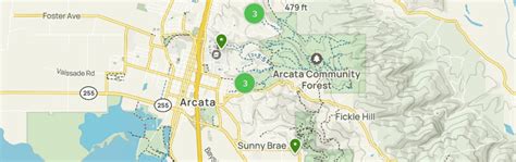 2023 Best Forest Trails in Arcata Community Forest | AllTrails