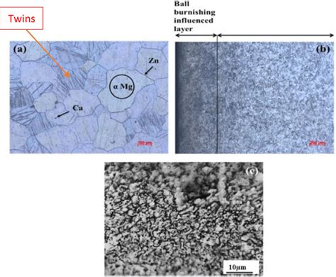 Optical Micrographs Of A Homogenized Alloy B The Sample With Depth