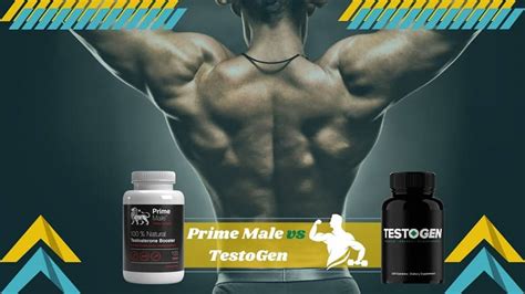 Prime Male Vs Testogen Reviews The Key Differences