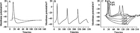 Action Potential Elicited By Current Stimuli A Supra Threshold 50