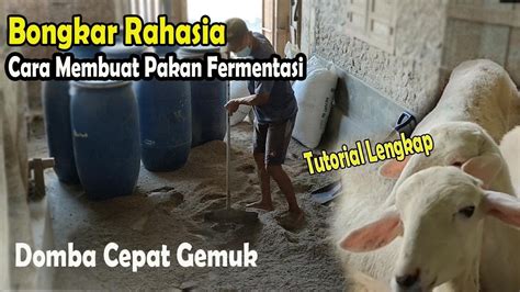 Cara Membuat Pakan Alternatif Berkualitas Tanpa Ngarit Kambing Cepat