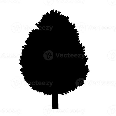 silhouette tree cartoon 11300947 PNG