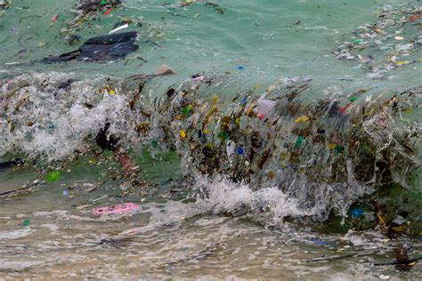 Plastic Waste Has Now Infiltrated All Parts Of The Ocean Mint Lounge