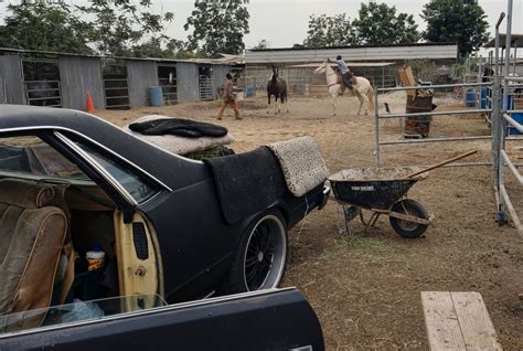 Picture | Urban Cowboys Raise Horses in Compton - ABC News