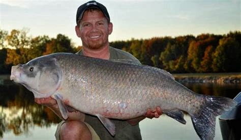 Big Fishes Of The World Buffalo Black Ictiobus Niger