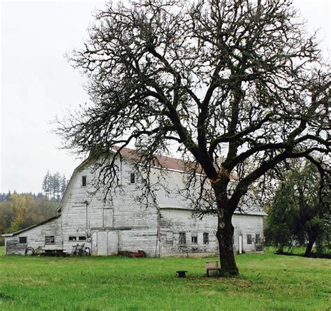 Battle Ground, WA | Barn in Battle Ground, WA. | suecollins46 | Flickr