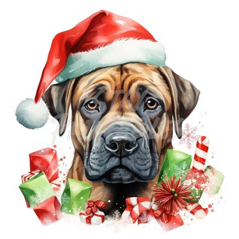 12 Christmas Cane Corso High Quality Jpgs Best For Card Making Clip