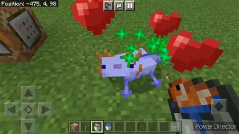 How To Summon Blue Axolotl In Minecraft Javabedrock Youtube