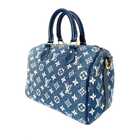 Speedy Louis Vuitton Monogram