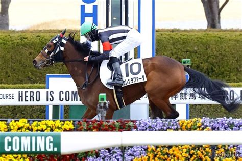 カレンラファータ Curren La Fata 競走馬データベース 競馬ラボ