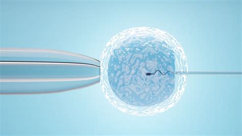 16 Days After Embryo Transfer Dr Mohit Saraogi