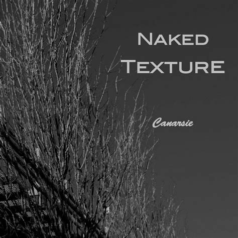Bpm And Key For Songs By Naked Texture Tempo For Naked Texture Songs Songbpm Songbpm