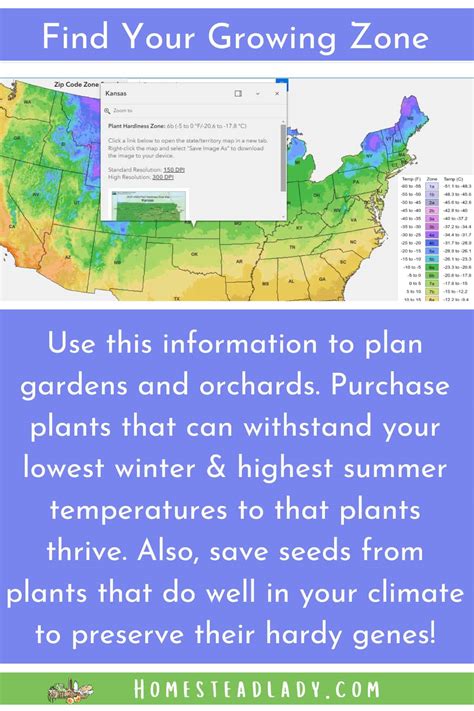 Finding Homestead Property Information, aka Site Data • Homestead Lady