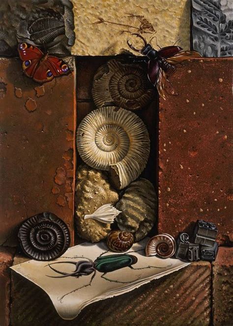 Miriam Escofet B 1969 Fossils And Insectsn 8001120 Still Life