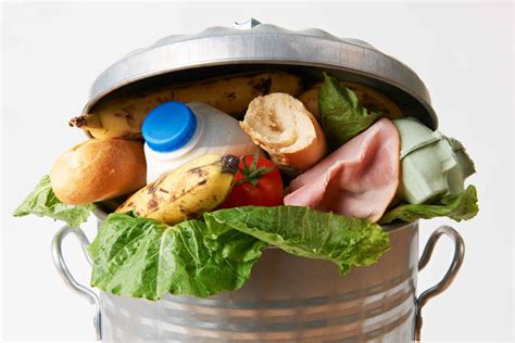 Food Waste Facts Why Wasting Food Is A Problem