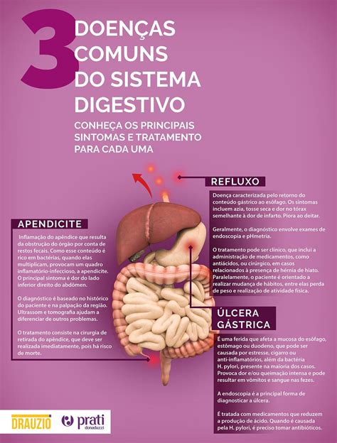 Três doenças comuns do sistema digestivo Infográfico Drauzio