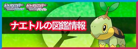 【ポケモンbdsp】アルセウスの出現条件と厳選方法・手順【ダイパリメイク】 Appmedia